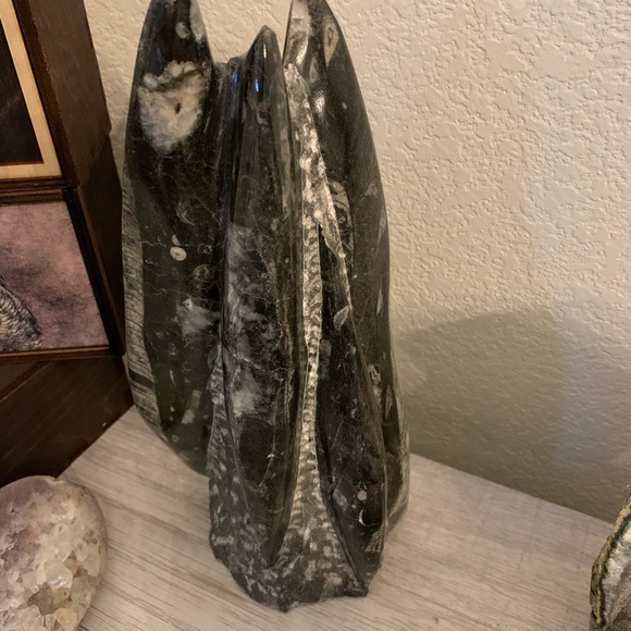 Orthoceras fossil sculpture from Morocco. 5.15lbs - Picture 2 of 6